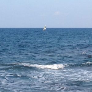 Sommerurlaub Vertretung